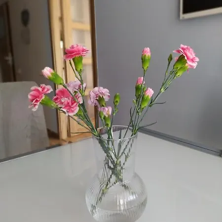 Fantastic By The Sea Set Up With Apartament