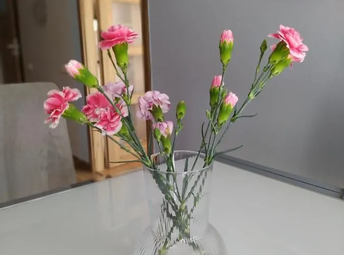 Fantastic By The Sea Set Up With Apartamento