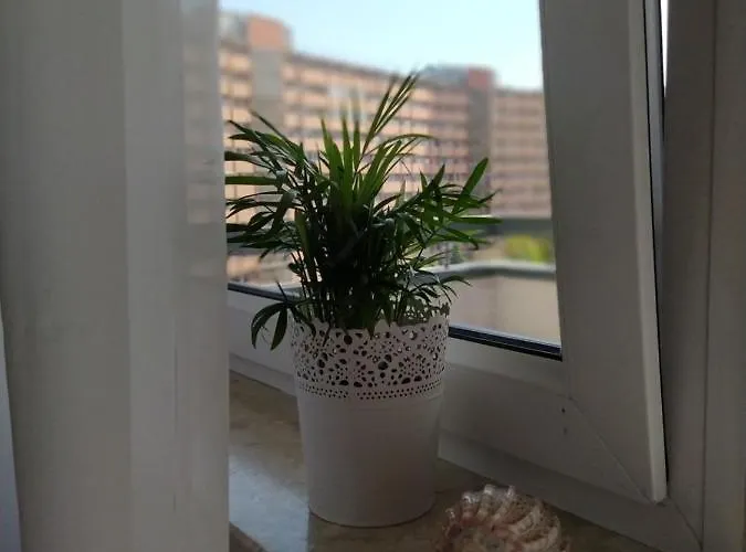 Fantastic By The Sea Set Up With Apartamento *