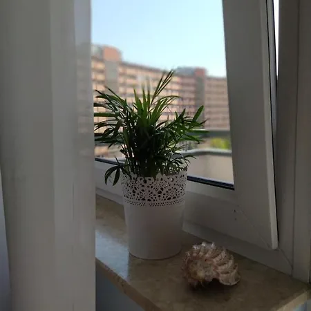 Fantastic By The Sea Set Up With 아파트 *